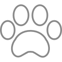 Pets Pets