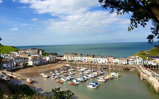 Ilfracombe