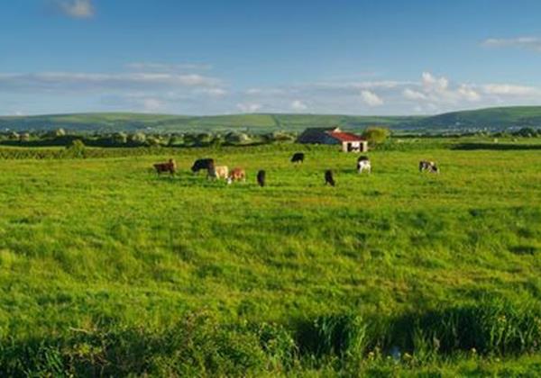 Holiday Cottage in North Devon